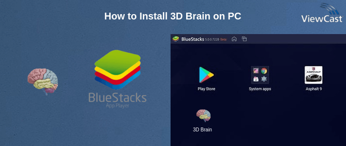 How to Install 3D Brain on PC