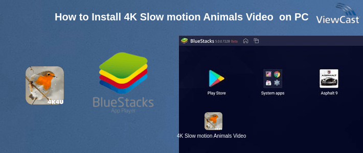 How to Install 4K Slow motion Animals Video Live Wallpaper on PC