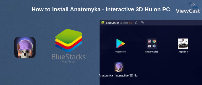 How to Install Anatomyka - Interactive 3D Human Anatomy on PC