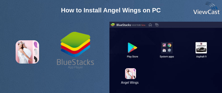 How to Install Angel Wings on PC