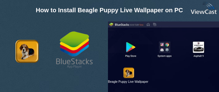 How to Install Beagle Puppy Live Wallpaper on PC