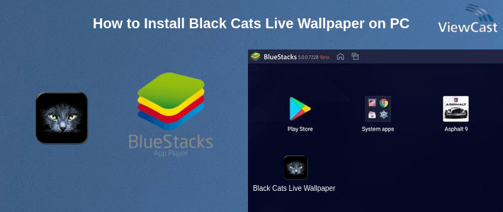 How to Install Black Cats Live Wallpaper on PC