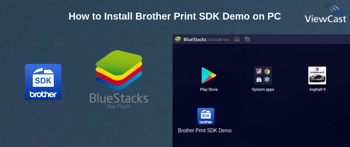 How to Install Brother Print SDK Demo on PC