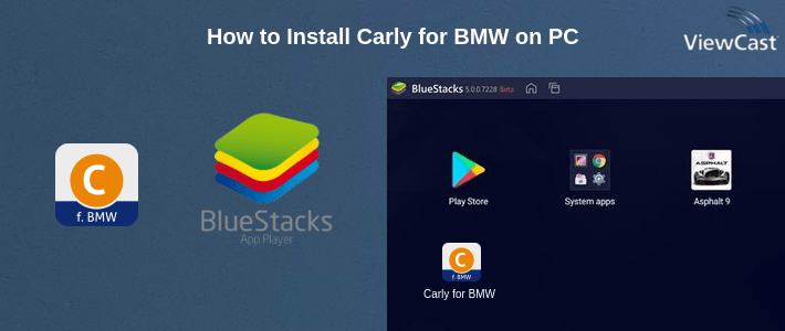 How to Install Carly for BMW on PC