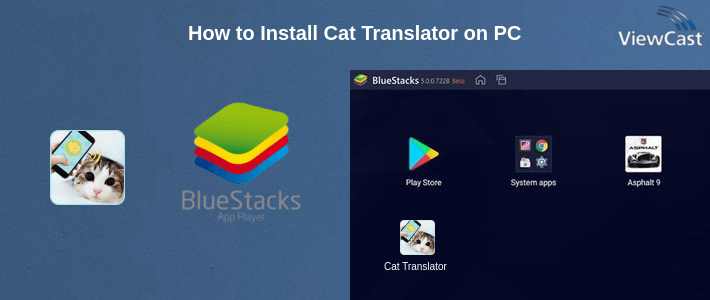 How to Install Cat Translator on PC