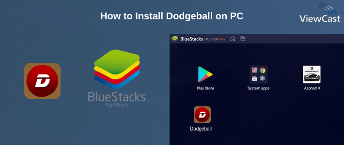 How to Install Dodgeball on PC