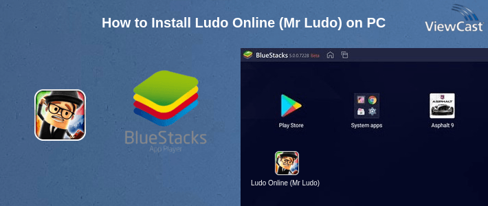 How to Install Ludo Online (Mr Ludo) on PC