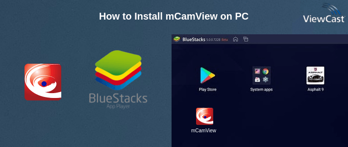 How to Install mCamView on PC