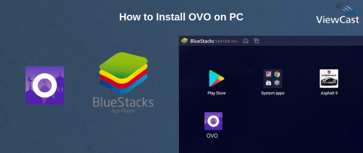 How to Install OVO on PC