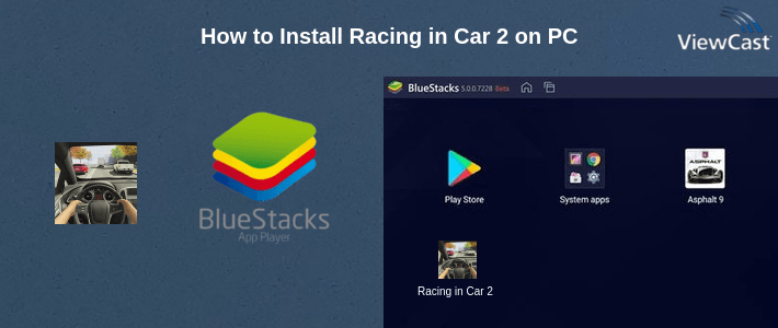 How to Install Racing in Car 2 on PC