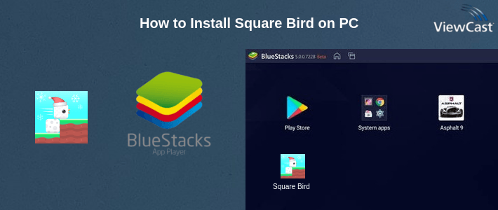 How to Install Square Bird on PC
