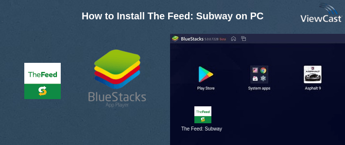 How to Install The Feed: Subway on PC