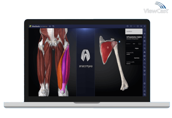 Run Anatomyka - Interactive 3D Human Anatomy on PC