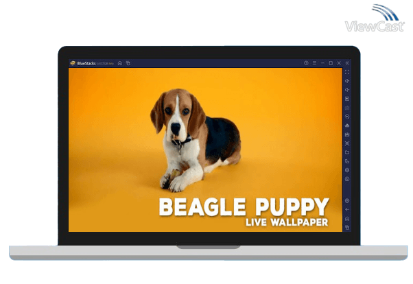 Run Beagle Puppy Live Wallpaper on PC