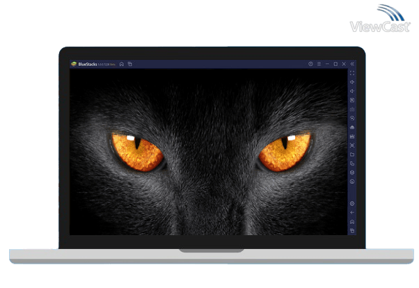 Run Black Cats Live Wallpaper on PC