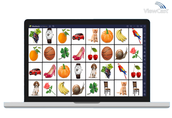 Run Brain game. Picture Match. on PC