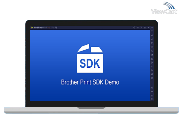 Run Brother Print SDK Demo on PC
