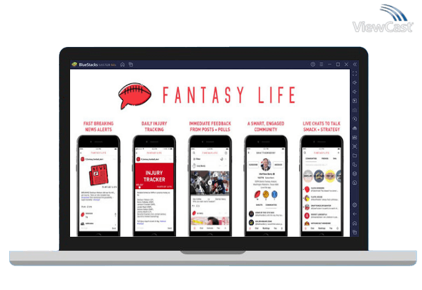 Run Fantasy Life on PC
