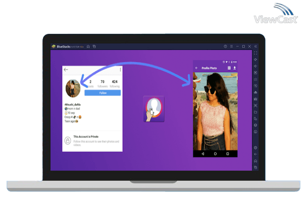 Run insFull - big profile photo picture on PC
