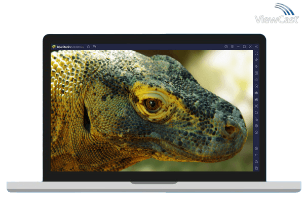 Run Komodo 9 Chess Engine on PC