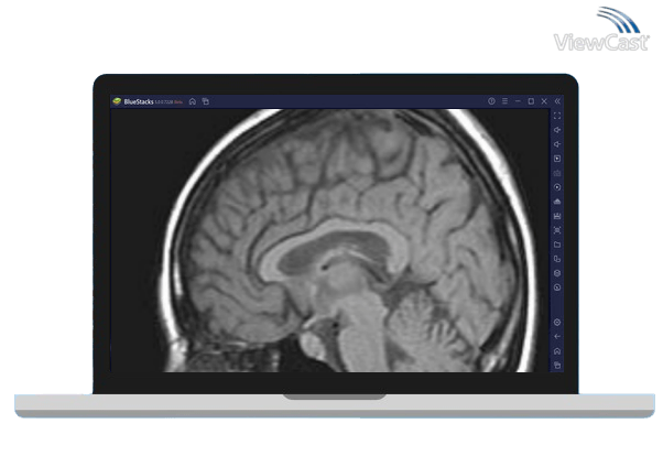 Run MRI Viewer on PC