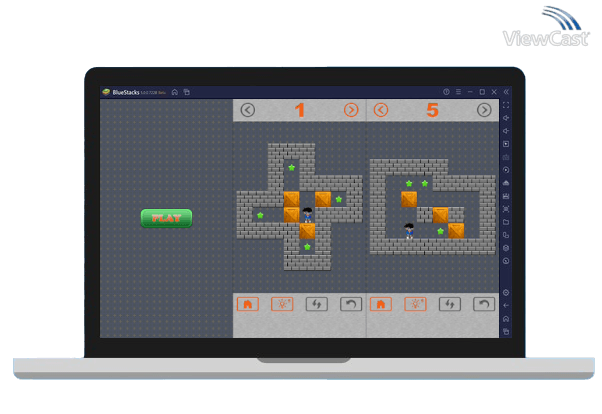 Run Push Box Puzzle on PC