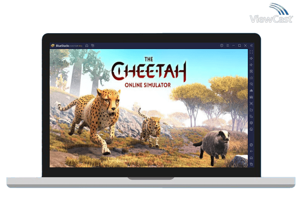 Run The Cheetah on PC