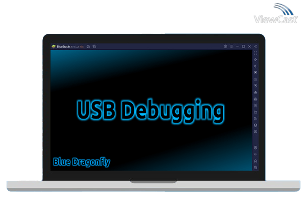 Run USB Debugging on PC