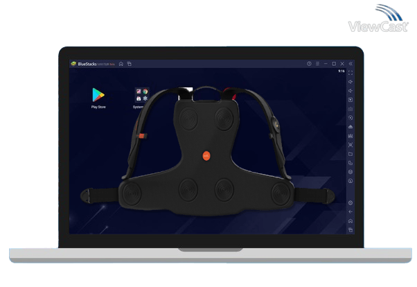 Run Vest firmware update on PC