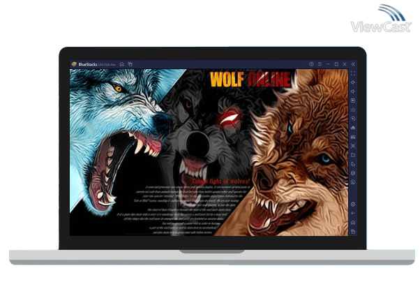 Run Wolf Online on PC