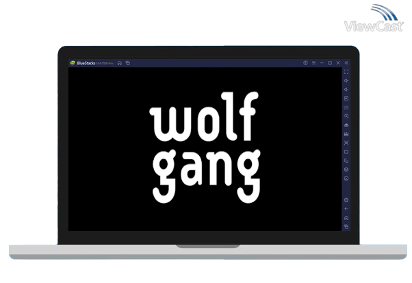 Run Wolfgang on PC